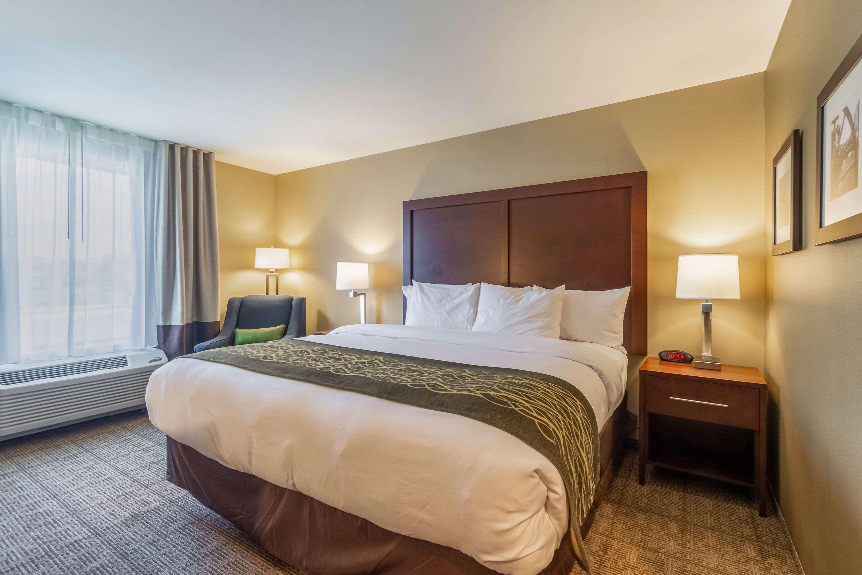 Comfort Inn & Suites - Harrisburg Airport - Hershey South Middletown  Екстер'єр фото